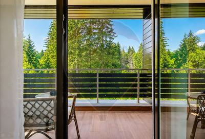 Apartament Premium | Silver Mountain| Regim Hotelier | SPA &Piscină. - 13