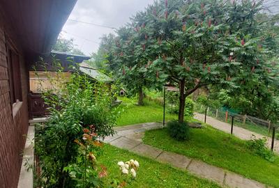Casa gospodarului, înconjurată de natură, Comarnic - 19