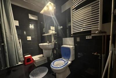 Apartament 1 camera-Aradului-Centrala-AC-Renovat - 5