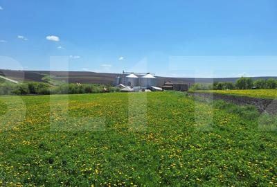Teren agricol intravilan de 3055 mp, în Rediu