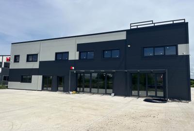 Hală industrială nouă depozitare de inchiriat Zona Industrială Sânandrei DN69 - 5