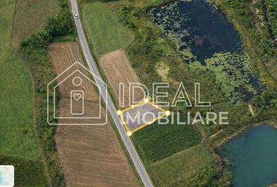 Teren agricol extravilan de 2719 mp, în Cârțișoara