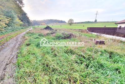 Teren 780 mp.cu puz si utilităti,zona Boema - 2