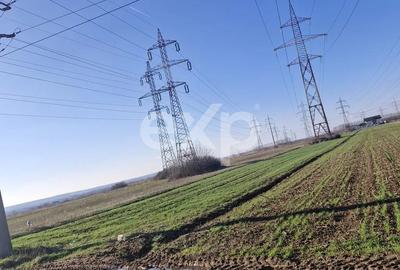 Teren agricol extravilan de 5000 mp, în Dumbrava