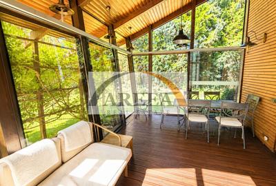 Vila complet mobilata cu piscina interioară -Pipera - 20