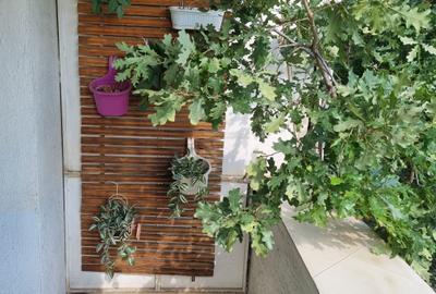 Apartament cu 2 camere decomandat în Unirii