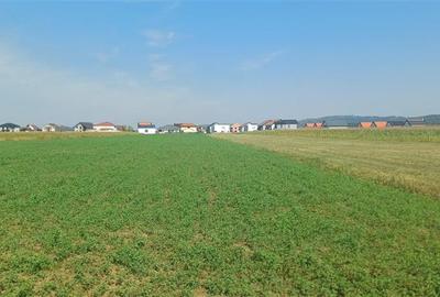 Teren agricol intravilan de 2500 mp, în Periferie