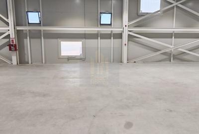Depozit 542mp + Birou in Hala Industriala de Inchiriat *Otopeni* - 10