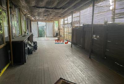 Spatiu comercial pentru restaurant, bar, club cu terasa si crama - 2