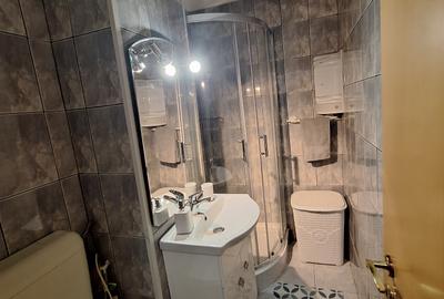 350 euro!!!Ap cu 2 camere cu centrala proprie Zona Totontalului - 10