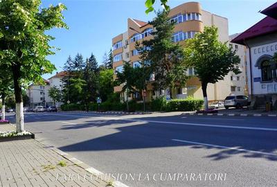 OFERTA UNICA, PARC EPISCOPIE - APARTAMENT 4 CAMERE - 20