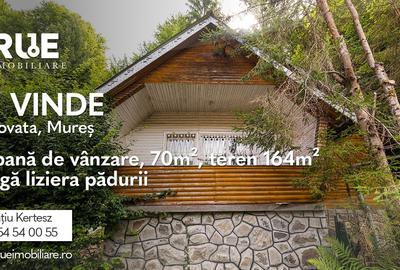 Casă de vacanță de vânzare, 70 m² – Sovata, județul Mureș - 1
