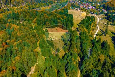 Teren intravilan | Timisul De jos | Canionul 7 Scari | Oportunitate! - 9
