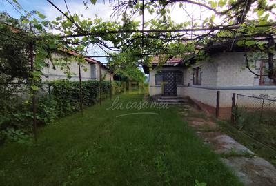 Casa si 2166 mp teren Magureni - 5