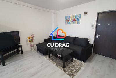 Ap de inchiriat Doamna Stanca - 3
