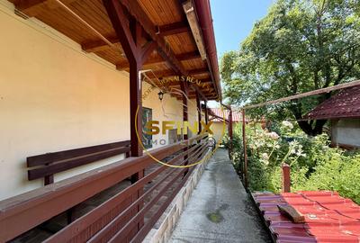 5 Camere Tunari Teleorman | Centrală termică | Grădina cu pomi fructiferi - 11