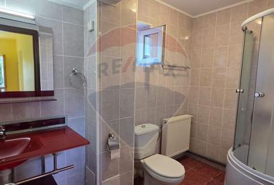 Casa P+M de vanzare in Valea Voievozilor Aleea Manastirii - 10