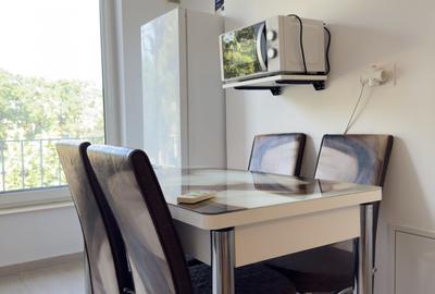OFERTA NOUA! APARTAMENT 2 CAMERE INAMSTRO COPOU spre inchiriere - 19