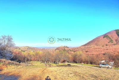 Teren 1.648 mp de vânzare – Cisnădioara, Sibiu - 1