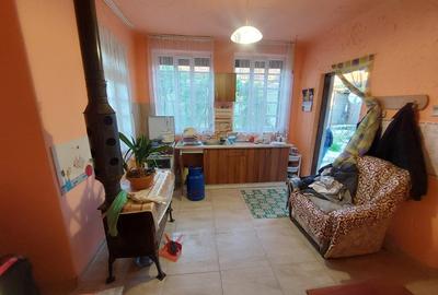 Casă individuală cu 3 camere în Rontău