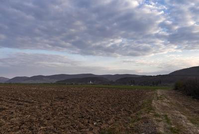Teren agricol extravilan de 2500 mp, în Sud