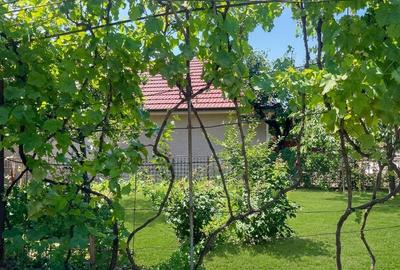 RECO Casa cu 5 camere in Oradea zona Oncea - 10