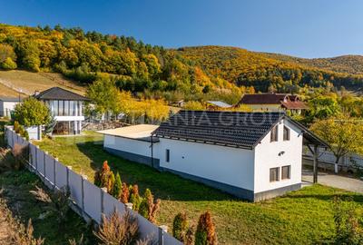 Casă 4 camere, garaj, foișor, grajd, 6000mp teren lângă padure - 27