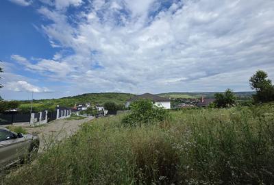Teren intravilan 1200 mp Lidl-Bucium - 3