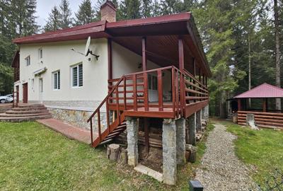 Casă de vacanță spațioasă în Călățele Pădure – Dealul Negru, teren 2000 mp - 4