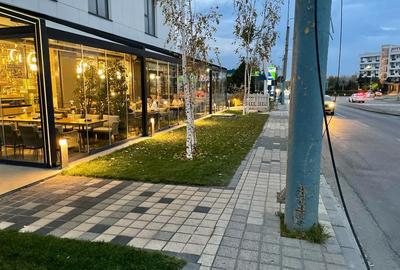 Spațiu comercial de vanzare Restaurant Brass Aviatori 1 Constanta - 2