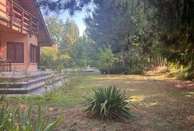 Paradisul Verde, 2.000 mp pentru o reședință care intră în elita cartierului - 5