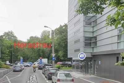 Apartament in vila plus garsoniera Aviatorilor / Herăstrău - 7