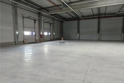 Spatiu Industrial - 3500 mp - Productie - Depozitare - Distributie - 9