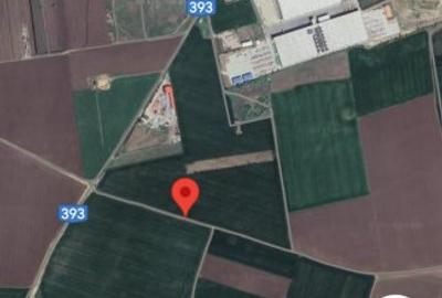 Teren Construcții extravilan de 10000 mp, în Techirghiol