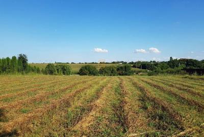 Teren intravilan – Adunatii Copaceni | 3.399 mp | Ideal investitie - 3