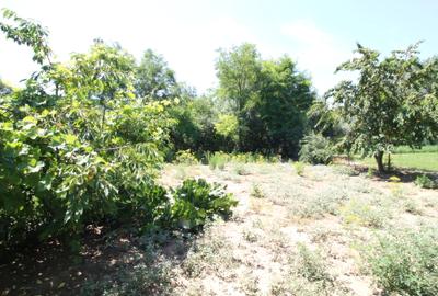 Vand teren 999mp +constructie de renovat loc. Serbestii Vechi - 8