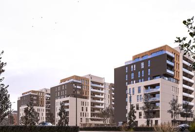 Cartier Transilvania