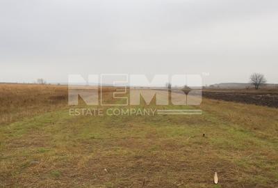 Teren agricol | de vânzare | 5000 mp² | comuna Satu Mare - 3