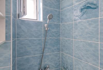 Apartament luminos in cartierul Pantelimon - 17