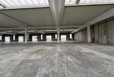 Vanzare depozit/spatiu industrial/hala Chitila - Rudeni, ILFOV - 10