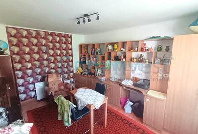 Doua case de vanzare in zona strazii Izvorului, Oradea, Bihor - 8