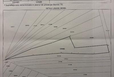 Teren 10.585 mp extravilan – Vama Buzăului | Nr. Cadastral 104485 | 200m de Zimb - 1