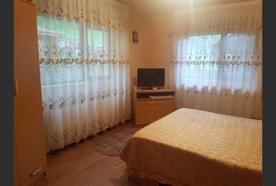 Holiday house/pension in Dâmbovicioara, Argeș - 6