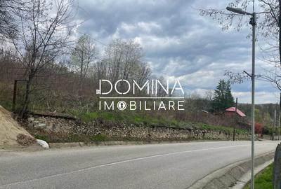 Vanzare teren intravilan - Runcu - oportunitate intr-o zona turistica deosebita - 4