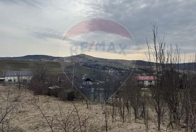 Teren intravilan 2307 mp în Salicea, zona premium, aproape de Cluj - 13