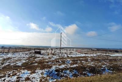 Teren intravilan Comision ZERO%,  Sebis Arad - 1