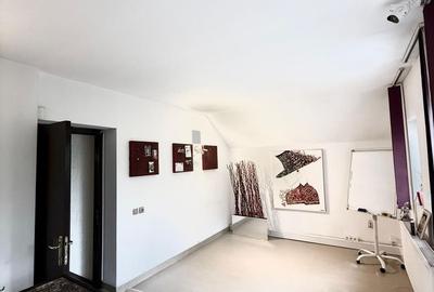 Vila/Spatiu comercial Bd Pipera - 19