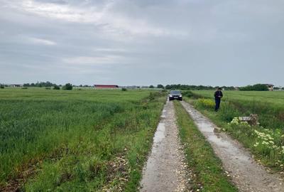 Vand teren intravilan in Sabareni, jud Giurgiu - 3