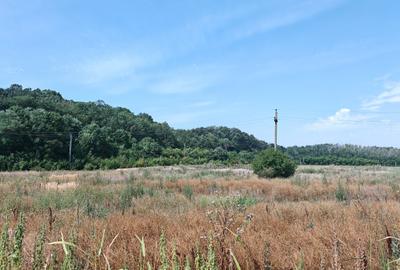 Teren Corbeanca – Balotești, 35.000 mp, lângă pădure și nodul rutier A0. - 4