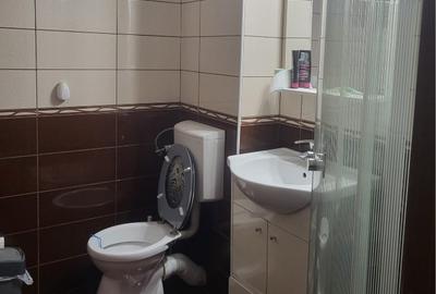 Apartament 4 camere Crangasi |  decomandat - 13